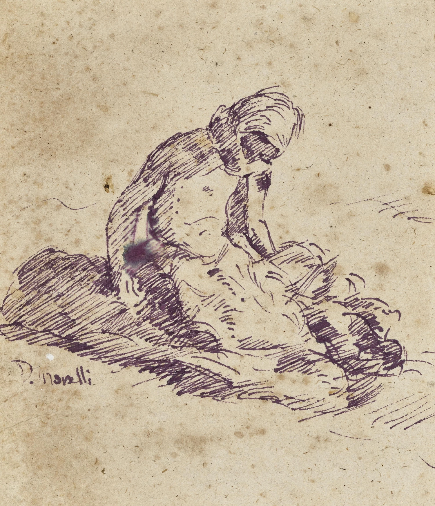 Srudio di figura